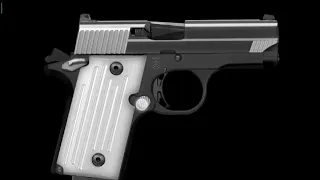 SIG Sauer P238 Micro Pistol animated firing simulation.