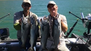 Lake Berryessa King Salmon