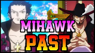 Dracule Mihawk's Past & Future!! - One Piece Discussion | Tekking101
