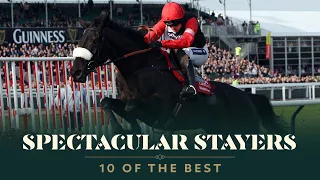 TOP 10 STAYERS' HURDLES AT THE CHELTENHAM FESTIVAL