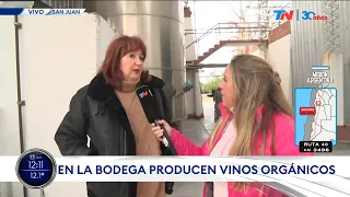 MISIÓN ARGENTINA I TN en San Juan, conociendo la producción de vinos orgánicos