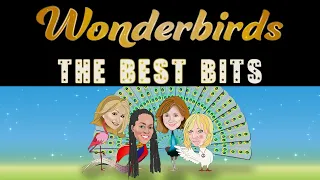 Wonderbirds 4th Anniversary Best Bits Show EP 427