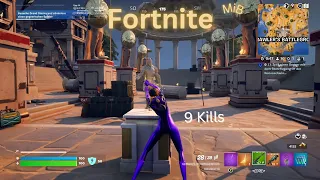 Fortnite 2024 Polarety in Love for Grimes Epic Win 9 Kills