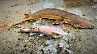 Making a Sturgeon Lure