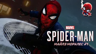 ОДИН ПАУК ХОРОШО, А ДВА — ЕЩЁ ЛУЧШЕ: Marvel's Spider-Man Miles Morales 1# (Без комментариев)