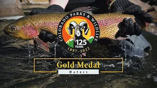 Colorado's newest Gold Medal waters - Gunnison and Taylor rivers