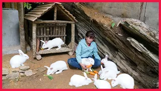 Build a bamboo house for herd of rabbits, Farm in the forest. Building farm, free life (ep11)