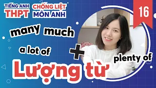 Lượng Từ Tiếng Anh: Much, Many, A Lot Of,.... (Phần 1) / Chống Liệt Tiếng Anh Ep. 16