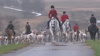 Foxhunting club celebrates horses, hounds, and history