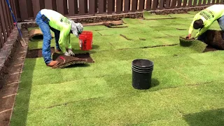 Staggaring Sod during Installation