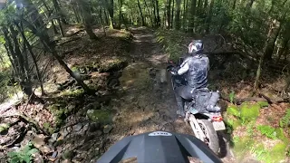 tenere 700 & tiger 1200 enjoying the dirt