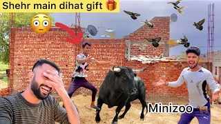 Gift 🎁 from shehr main dihat 😍 ( Mini zoo per aa gya 🐂 ) Big surprise