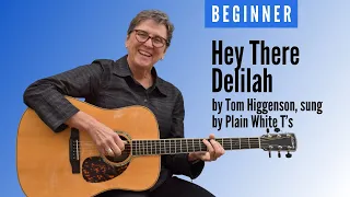 Learn to play Hey There Delilah by the Plain White T's | Easy chords | Beginner guitar lesson