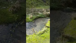 hermoso lugar rumbo a laguna Magdalena