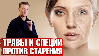 Как замедлить старение? Травы и специи для омоложения🧘‍♀️