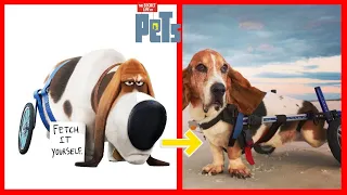 How The Secret Life of Pets Looks 💎 Characters New In Real Life 2024💎