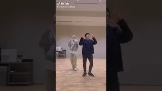 Seventeen Hoshi And Woozi Side by Side Challenge on Tiktok