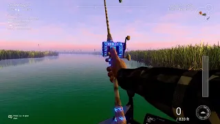 Fishing Planet - New anti-cheating rules