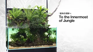 [ADAview] To the Innermost of Jungle 密林の深奥へ -120cm Aqua terrarium Layout-