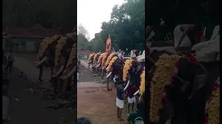 Elephant Attack Edakalathur pooram 2023