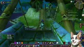 Leveling in Stranglethorn; everything wants to kill me! Warmane: Icecrown