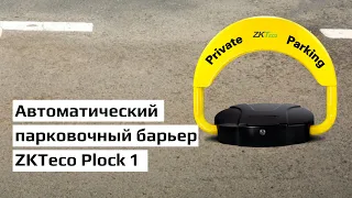 Автоматический парковочный барьер ZKTeco Plock 1