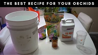 My Best Orchid Fertilizer Recipe In Details (Works 100%)