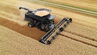 The best Combine Corn Harvest FENDT IDEAL #12