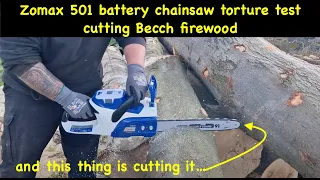 Torture test for the Zomax 501 cutting Beech firewood