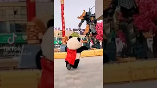 Naughty panda