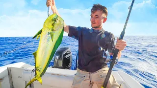 GROTE DRADU VIS GEVANGEN IN DE ZEE VAN CURAÇAO!