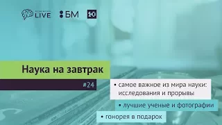 Наука на завтрак #24