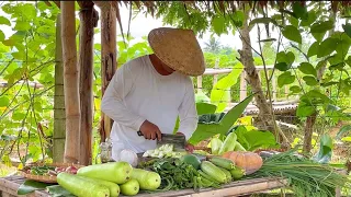 Harvesting variety of vegetables from my garden I Joseph The Explorer