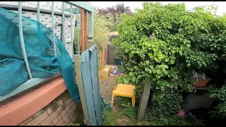 Atrocious Laneway Mess Rescued | Overgrown Garden Transformation