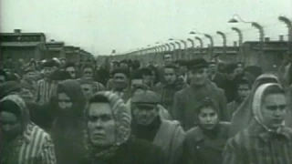 Holocaust Memorial Day: Archive footage shows liberation of Auschwitz concentration camp