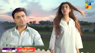 Meri Shehzadi - Episode 20 Promo - Tonight At 09 PM Only on HUM TV