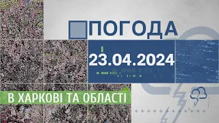 Прогноз погоди в Харкові та Харківській області на 23 квітня