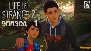 Полное прохождение Life is Strange 2 — Эпизод 1: Дороги