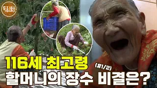 [특종세상] 116세, 우리나라 최고령 할머니의 장수 비결은? MBN 190913 방송 (#1/2)