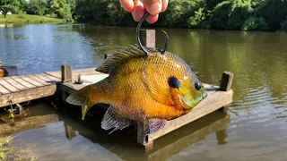 Fishing HUGE Baits for the POND MONSTER!!! (Surprise Catch!)