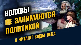 Почему Волхвы не занимаются политикой. Суть политики