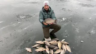 Огромные караси утаскиваю в лунку