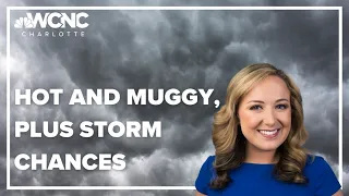 Forecast: Hot and muggy Sunday, with a few storms possible