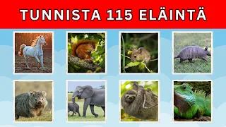 Tunnista 115 eläintä 5 sekunissa