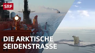 Die Arktische Seidenstrasse | Globale Themen erklärt | #SRFglobal