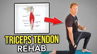4 Exercises for Triceps Pain (Tendinopathy/Tendinitis Rehab)