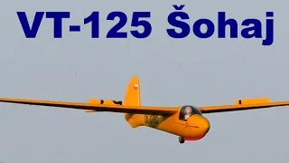 VT-125 Sohaj, scale RC glider, Hranice 2020