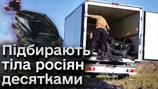 ☠️ З Кліщіївки вивезли десятки трупів росіян! Український загін дістає їх з ризиком для життя