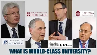 What is world-class university?