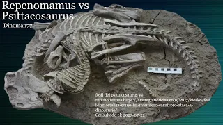 Psittacosaurus vs repenomamus